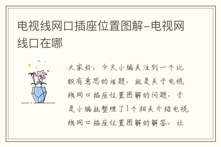 电视线网口插座位置图解-电视网线口在哪