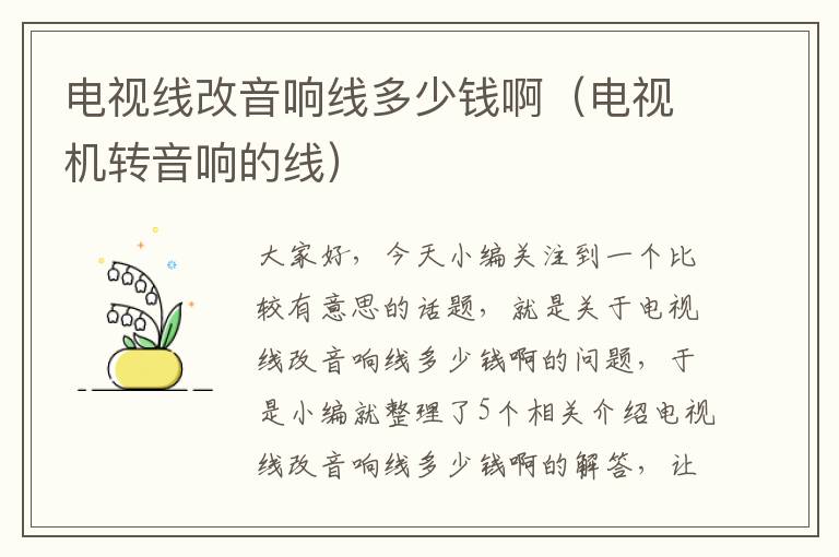 电视线改音响线多少钱啊(电视机转音响的线)