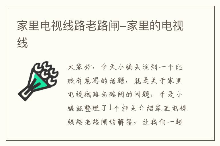 家里电视线路老路闸-家里的电视线
