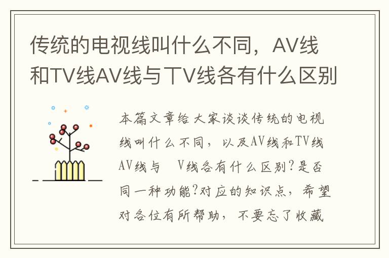 传统的电视线叫什么不同,AV线和TV线AV线与丅V线各有什么区别?是否同一种功能?