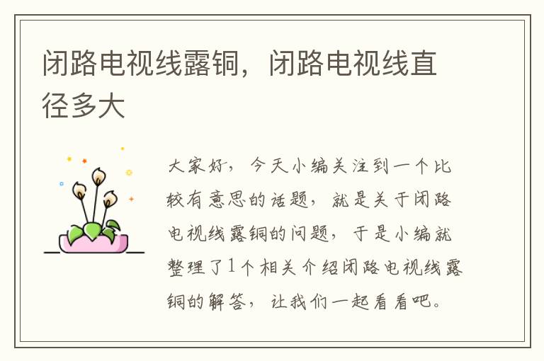 闭路电视线露铜,闭路电视线直径多大