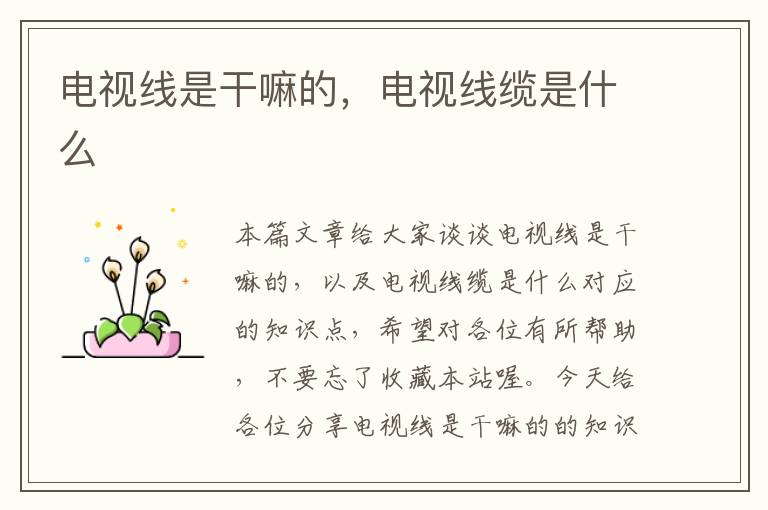 电视线是干嘛的,电视线缆是什么