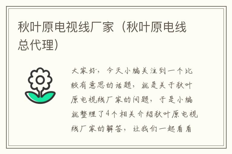 秋叶原电视线厂家(秋叶原电线总代理)