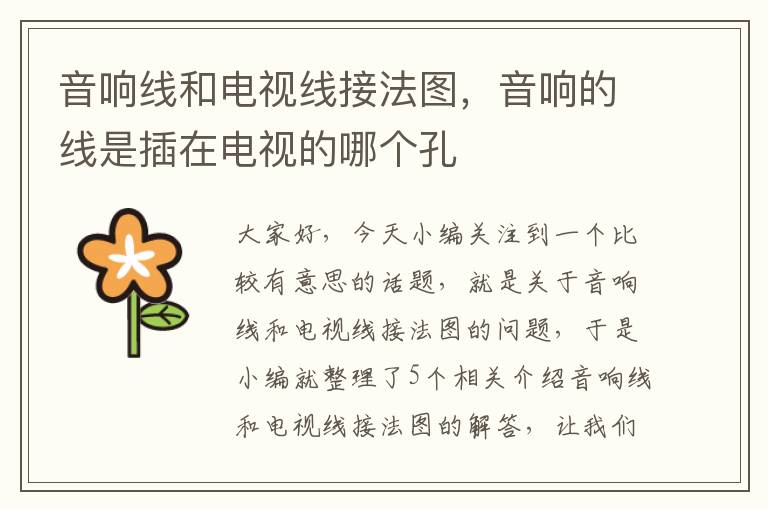 音响线和电视线接法图,音响的线是插在电视的哪个孔
