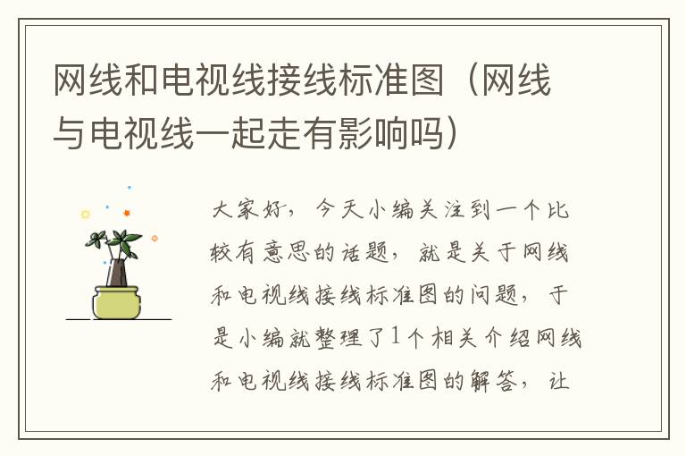 网线和电视线接线标准图(网线与电视线一起走有影响吗)