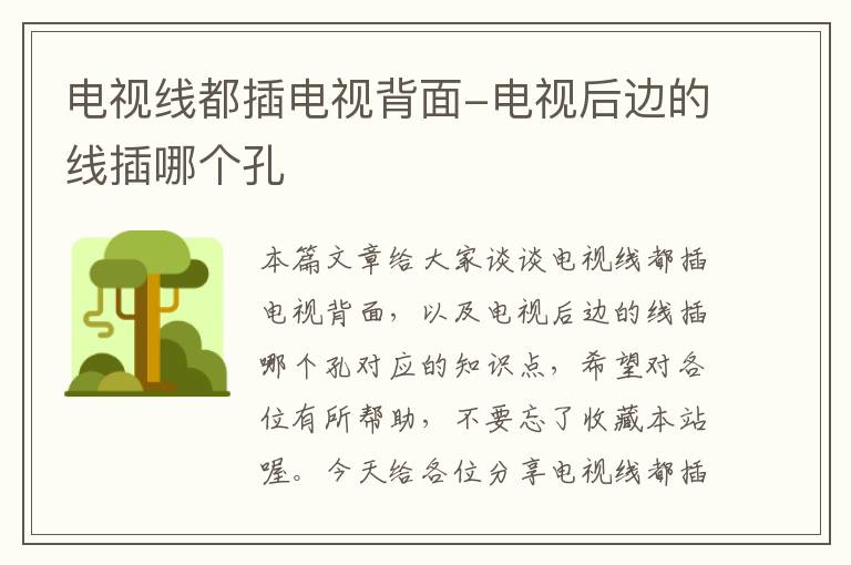 电视线都插电视背面-电视后边的线插哪个孔