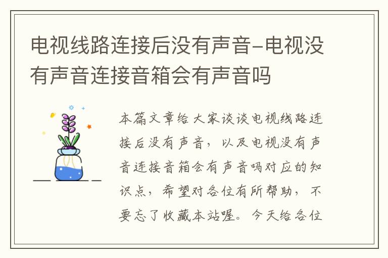 电视线路连接后没有声音-电视没有声音连接音箱会有声音吗