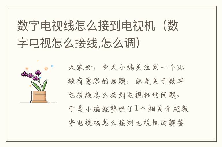 数字电视线怎么接到电视机(数字电视怎么接线,怎么调)