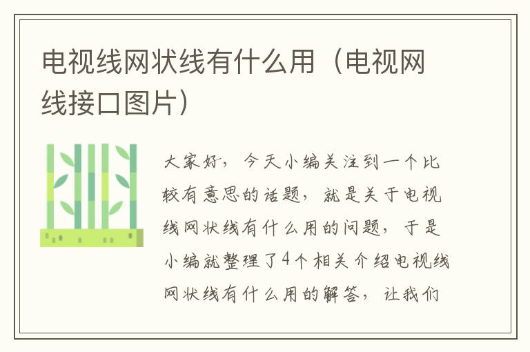 电视线网状线有什么用(电视网线接口图片)