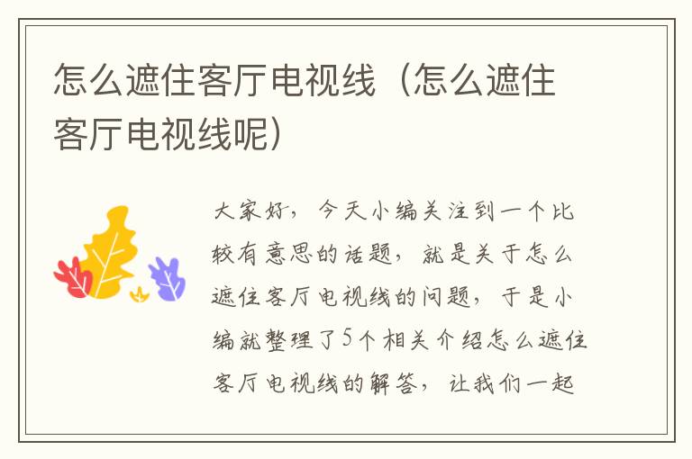 怎么遮住客厅电视线（怎么遮住客厅电视线呢）