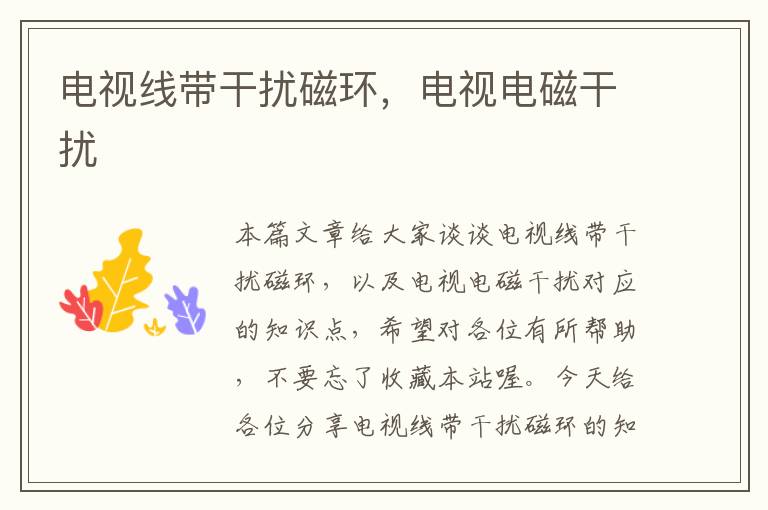 电视线带干扰磁环,电视电磁干扰