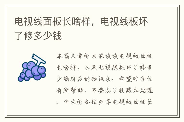 电视线面板长啥样,电视线板坏了修多少钱