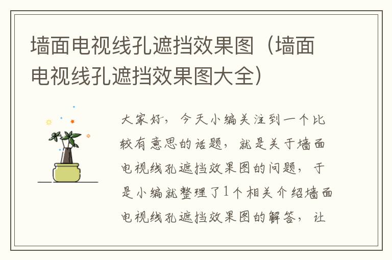 墙面电视线孔遮挡效果图(墙面电视线孔遮挡效果图大全)