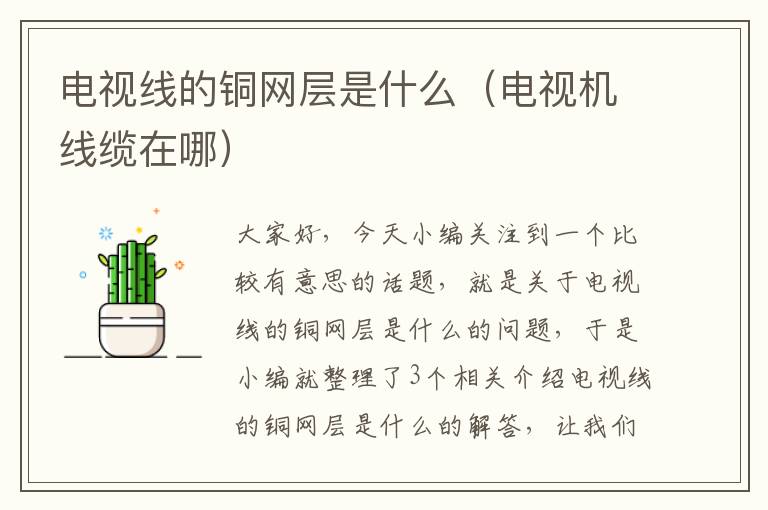 电视线的铜网层是什么(电视机线缆在哪)