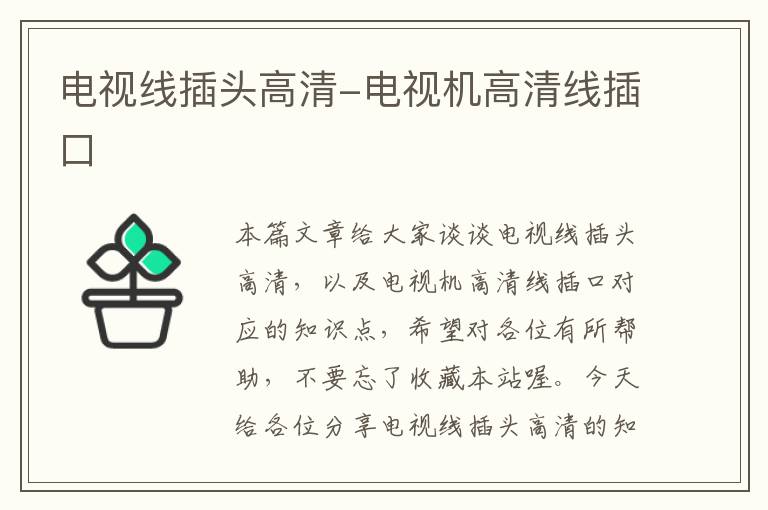 电视线插头高清-电视机高清线插口