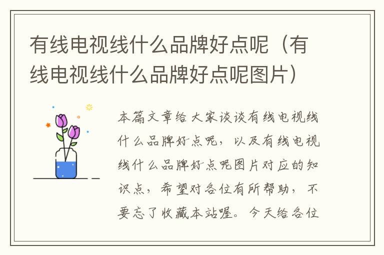 有线电视线什么品牌好点呢(有线电视线什么品牌好点呢图片)