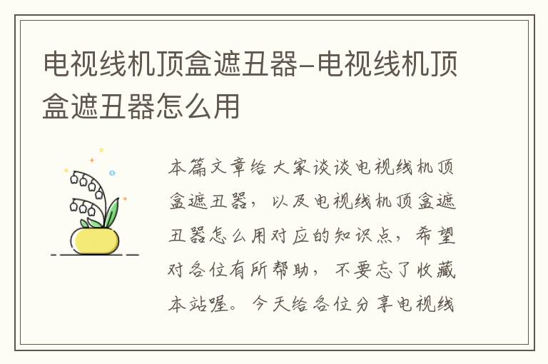 电视线机顶盒遮丑器-电视线机顶盒遮丑器怎么用