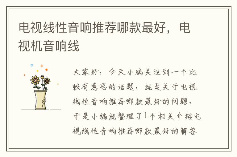电视线性音响推荐哪款最好,电视机音响线