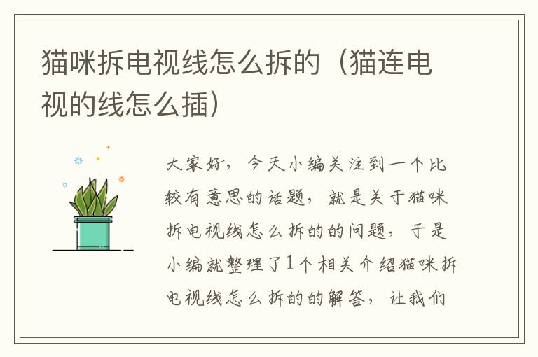 猫咪拆电视线怎么拆的(猫连电视的线怎么插)