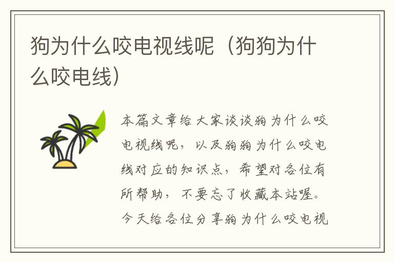 狗为什么咬电视线呢(狗狗为什么咬电线)