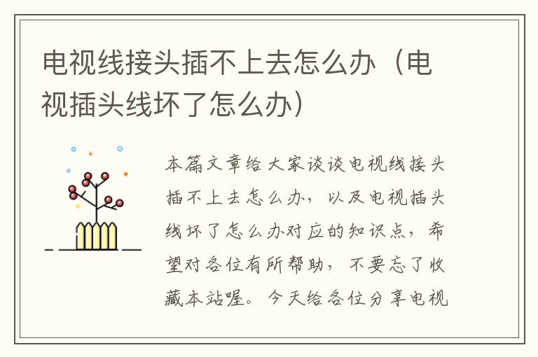 电视线接头插不上去怎么办(电视插头线坏了怎么办)