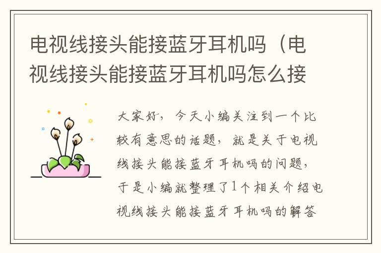 电视线接头能接蓝牙耳机吗(电视线接头能接蓝牙耳机吗怎么接)