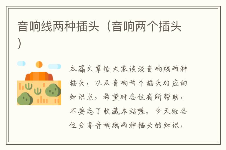 音响线两种插头(音响两个插头)