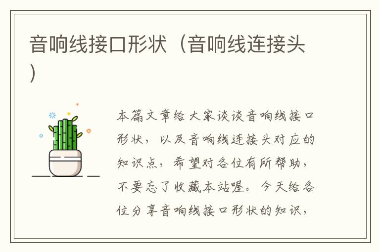 音响线接口形状(音响线连接头)