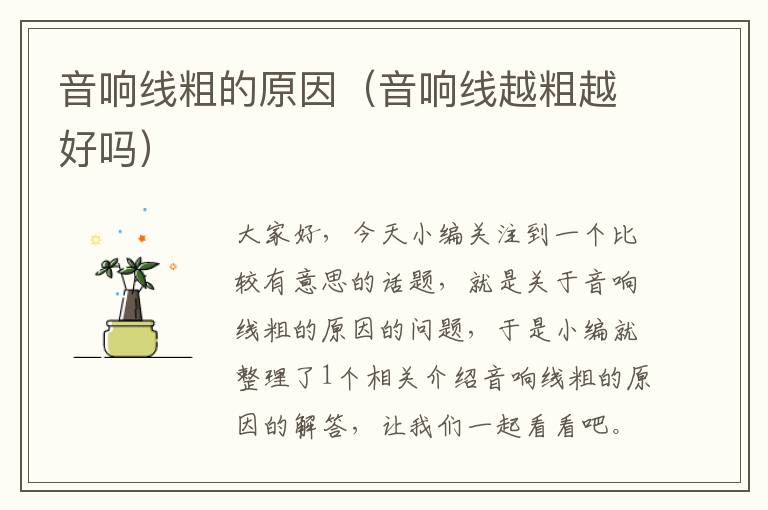 音响线粗的原因(音响线越粗越好吗)