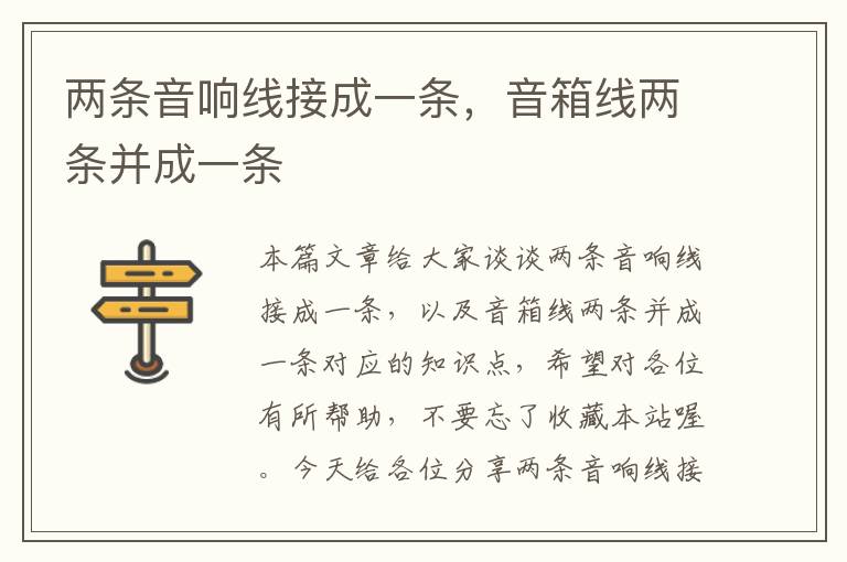 两条音响线接成一条,音箱线两条并成一条