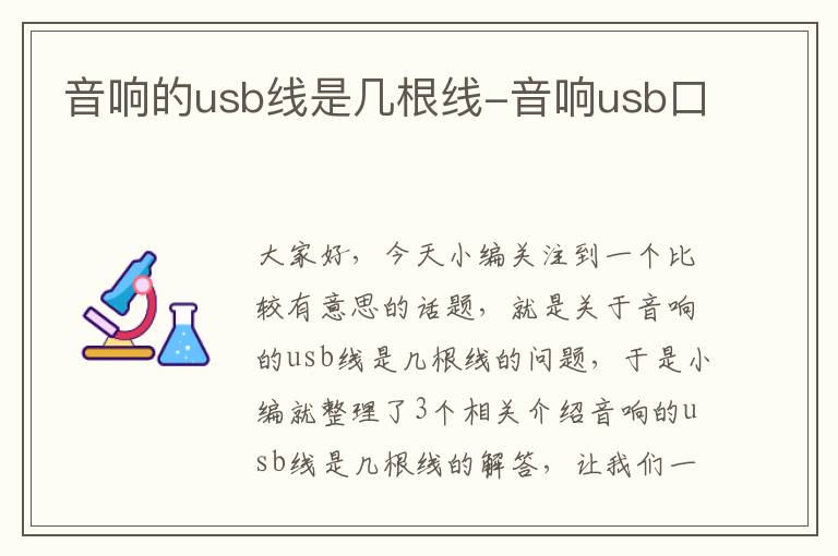 音响的usb线是几根线-音响usb口