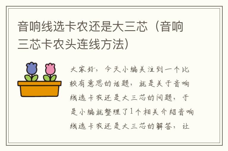 音响线选卡农还是大三芯(音响三芯卡农头连线方法)