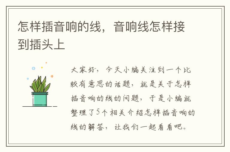 怎样插音响的线,音响线怎样接到插头上