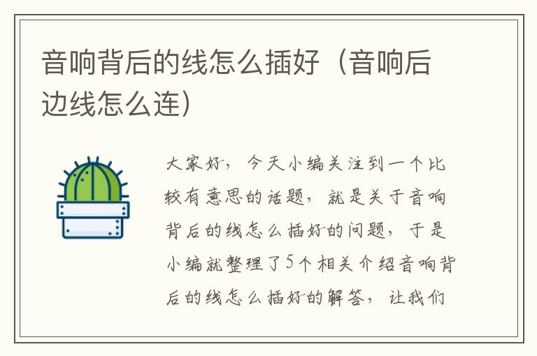 音响背后的线怎么插好(音响后边线怎么连)