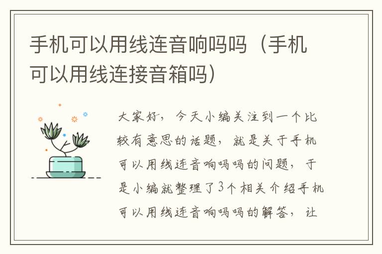 手机可以用线连音响吗吗(手机可以用线连接音箱吗)