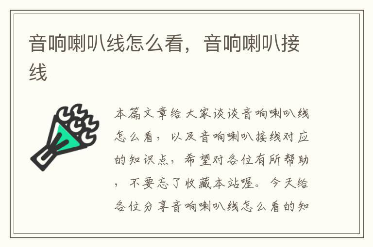 音响喇叭线怎么看,音响喇叭接线