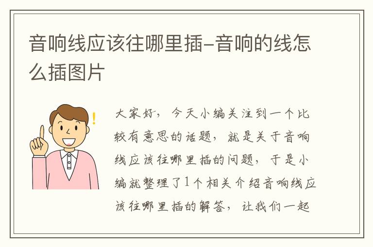 音响线应该往哪里插-音响的线怎么插图片