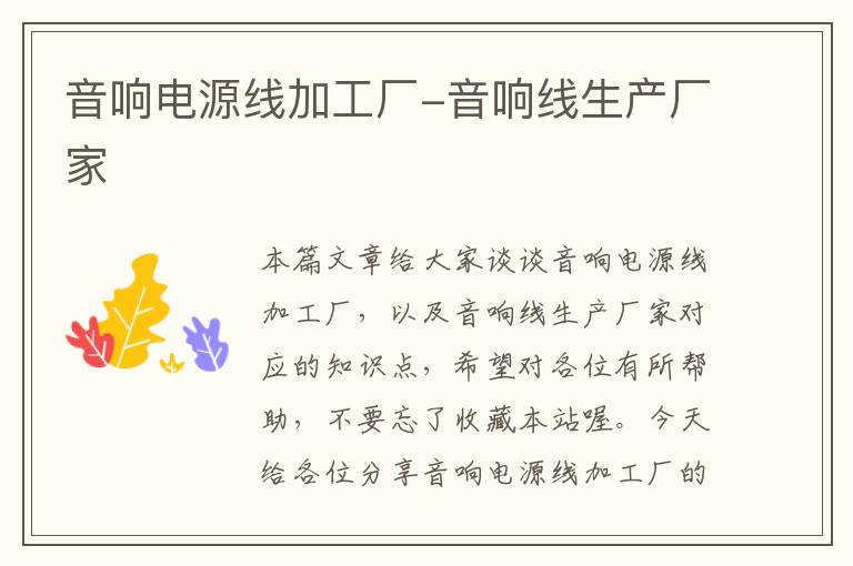 音响电源线加工厂-音响线生产厂家