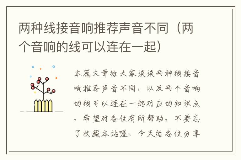 两种线接音响推荐声音不同(两个音响的线可以连在一起)
