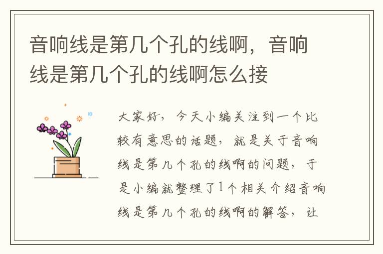 音响线是第几个孔的线啊,音响线是第几个孔的线啊怎么接