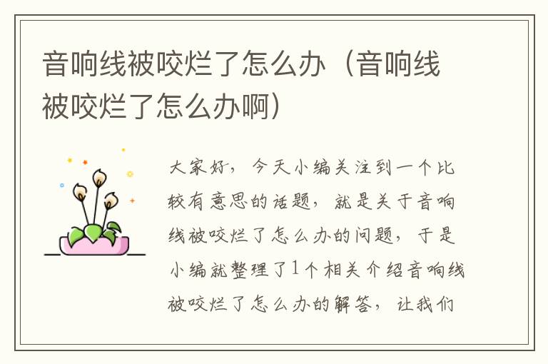 音响线被咬烂了怎么办(音响线被咬烂了怎么办啊)