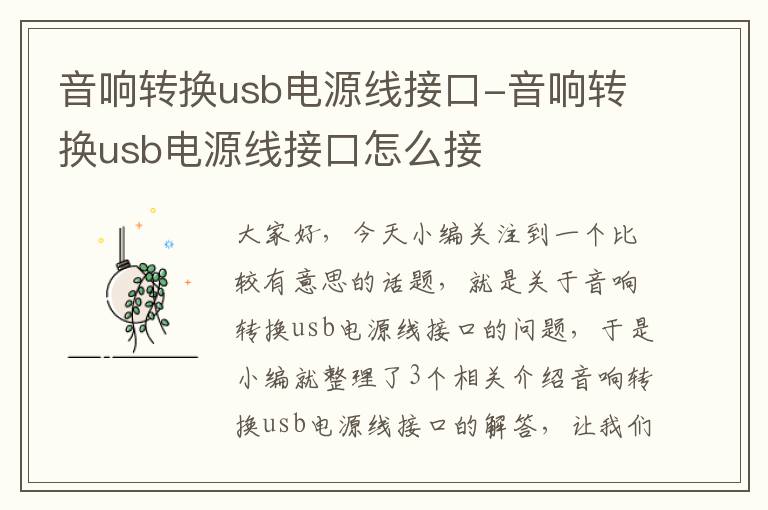 音响转换usb电源线接口-音响转换usb电源线接口怎么接