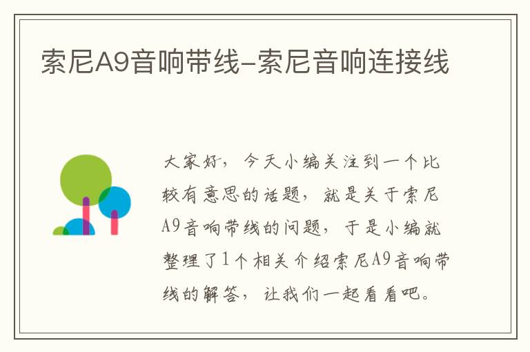 索尼A9音响带线-索尼音响连接线