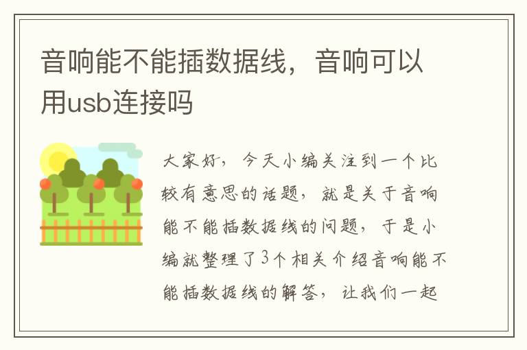 音响能不能插数据线,音响可以用usb连接吗