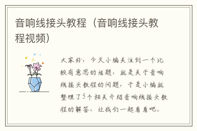 音响线接头教程(音响线接头教程视频)