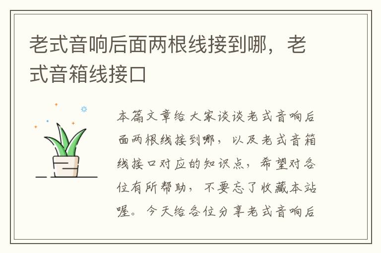 老式音响后面两根线接到哪,老式音箱线接口