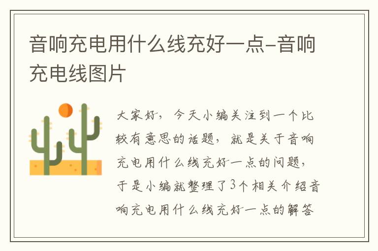 音响充电用什么线充好一点-音响充电线图片