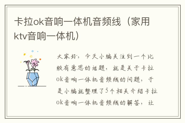 卡拉ok音响一体机音频线(家用ktv音响一体机)