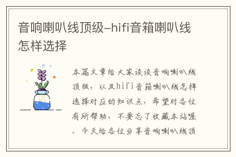 音响喇叭线顶级-hifi音箱喇叭线怎样选择