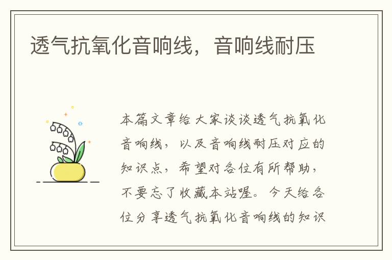 透气抗氧化音响线,音响线耐压